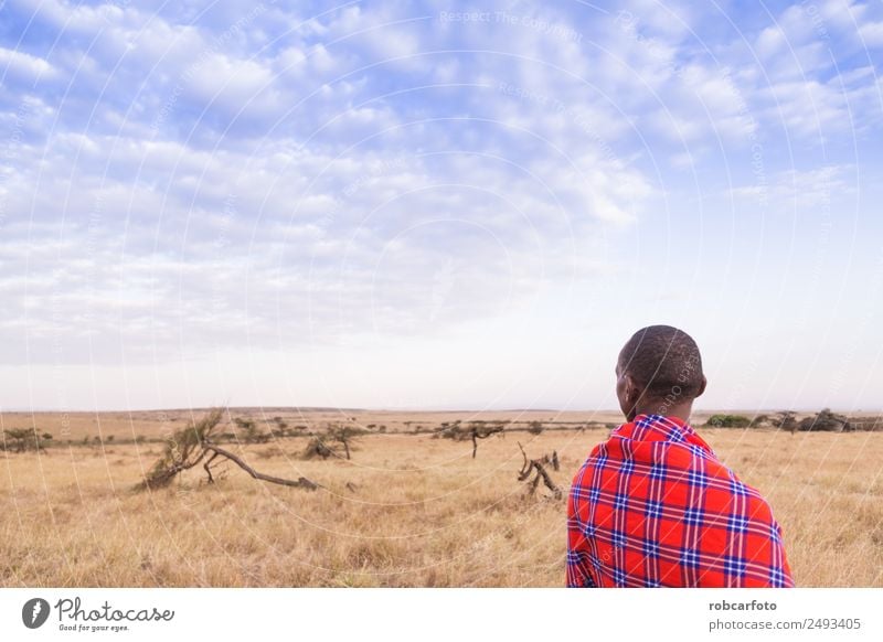 Maasai walking in the savannah at sunset Lifestyle Beautiful Vacation & Travel Summer Sun Human being Woman Adults Man Nature Landscape Tree Grass Village