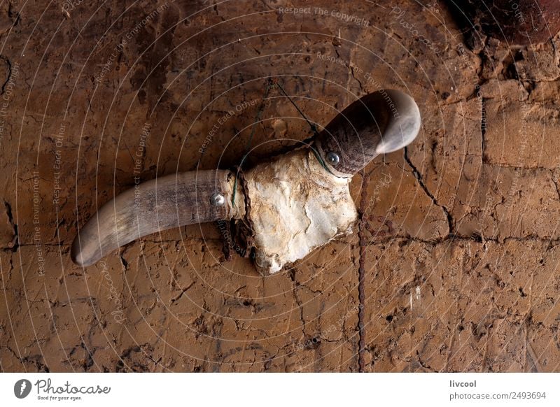 Hanging cow horns-Africa Lifestyle Vacation & Travel Tourism Trip Adventure House (Residential Structure) Rope Art Work of art Sculpture Culture Animal Village