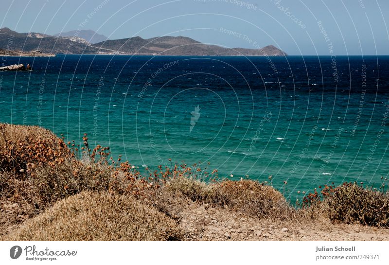 Sea is more Landscape Plant Earth Sand Water Sky Summer Beautiful weather Wind Grass Bushes Wild plant Waves Coast Milos Island Greece Deserted Glittering