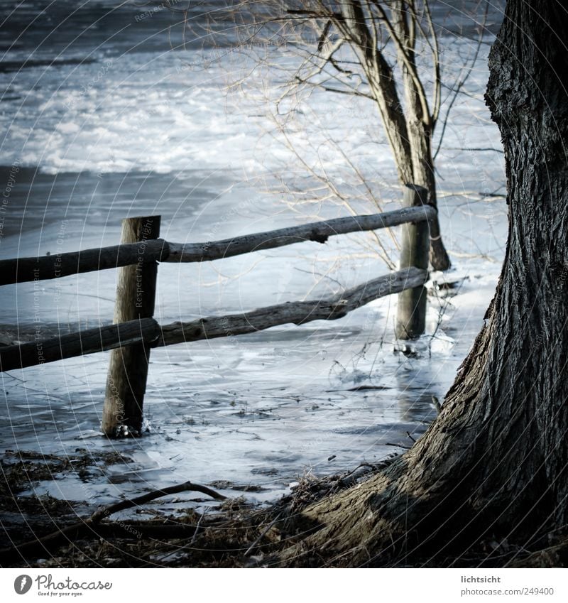 still-frozen Landscape Elements Winter Weather Ice Frost Tree Coast Lakeside Wood Water Cold Blue Brown Slate blue Old Tree bark Fence Fence post Frozen