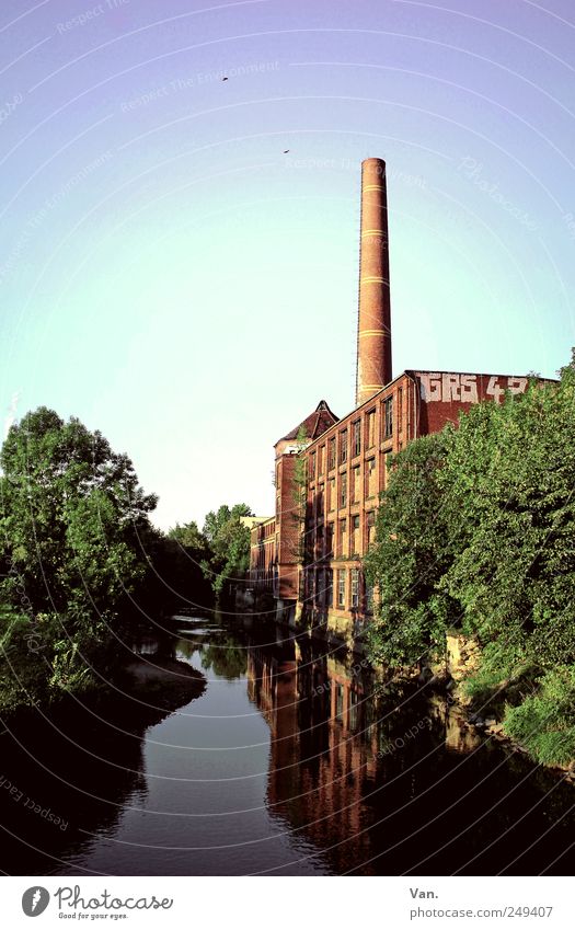 veteran Environment Water Sky Tree River bank Outskirts Deserted Industrial plant Manmade structures Wall (barrier) Wall (building) Facade Window Chimney Old