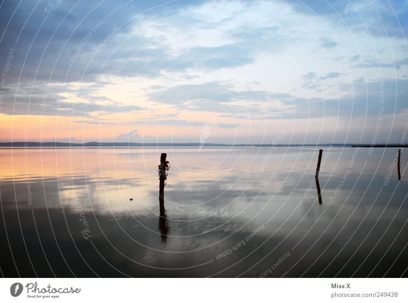 Lake Neusiedl Landscape Water Weather Coast Lakeside River bank Beach Bay Ocean Relaxation Idyll Calm Burgen district Wooden stake Colour photo Multicoloured