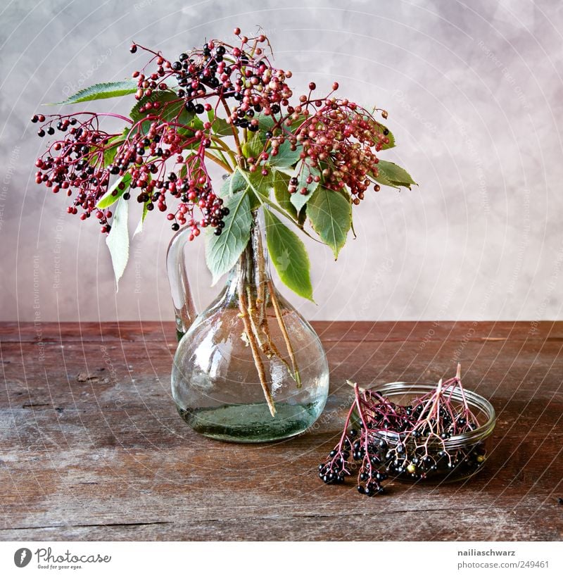 Still life with elderberry Fruit Elder Elderberry Berries Painting and drawing (object) Plant Bushes Bowl Bouquet Decanter Glass bowl Table Wood Old Esthetic