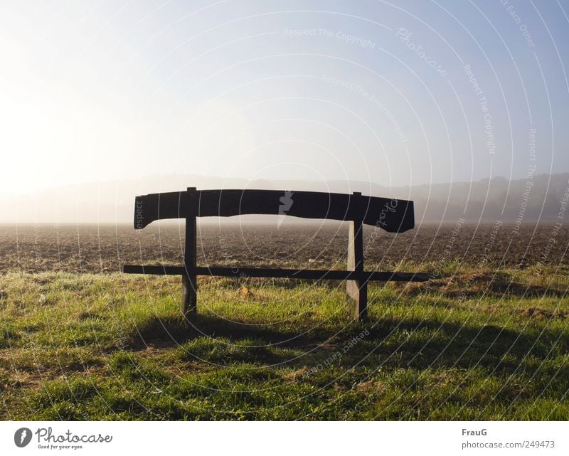 autumn morning Landscape Sunlight Fog Meadow Field Outskirts Deserted Bench Wood tranquillity Relaxation Exterior shot Morning