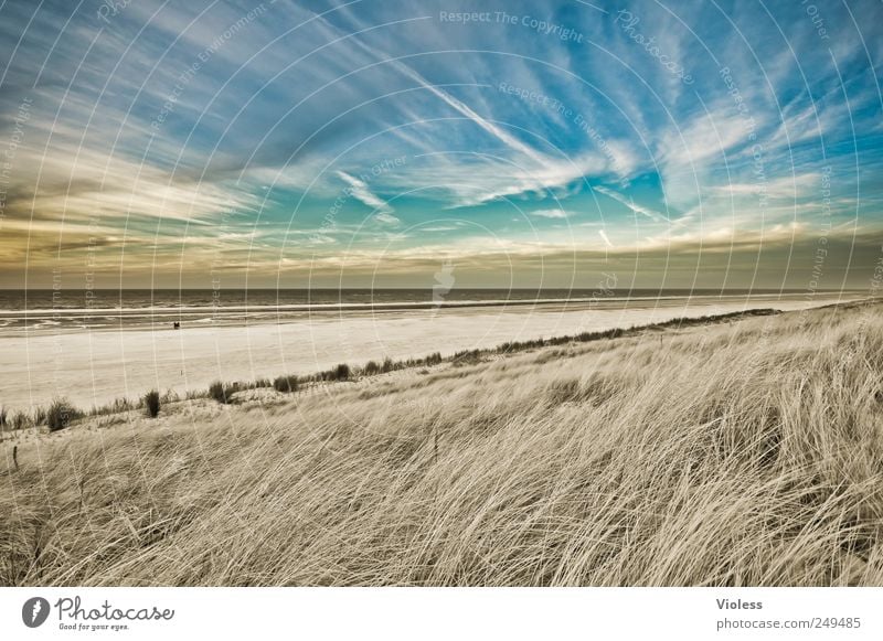 Spiekeroog. Paradise. Nature Landscape Sand Sky Beach North Sea Ocean Discover Relaxation Island Dune Marram grass Wisp of cloud Clouds Colour photo