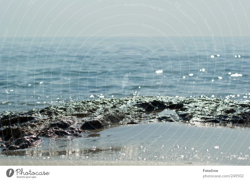 I dream of the beach Environment Nature Landscape Sky Summer Coast Ocean Hot Bright Wet Natural Blue Stone Rock Sand Colour photo Subdued colour Exterior shot