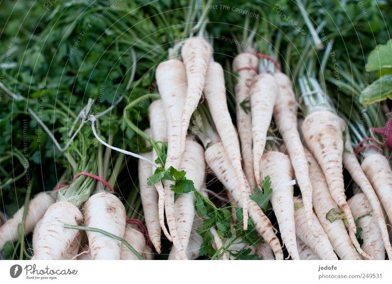 Parsley, Pertersilie... Food Vegetable Healthy Delicious parsley root Root Nutrition White Herbs and spices Greens Vegetables for soup Vitamin Markets quantity