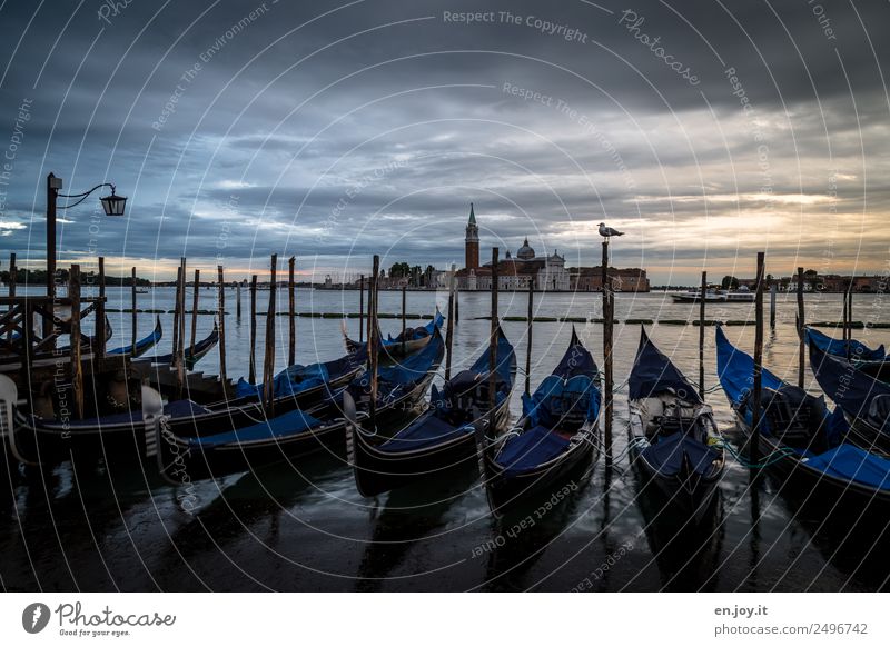 waking Vacation & Travel Sightseeing City trip Summer vacation Clouds Storm clouds Night sky Ocean Bay Venice Italy Europe Town Old town Church Gondola (Boat)