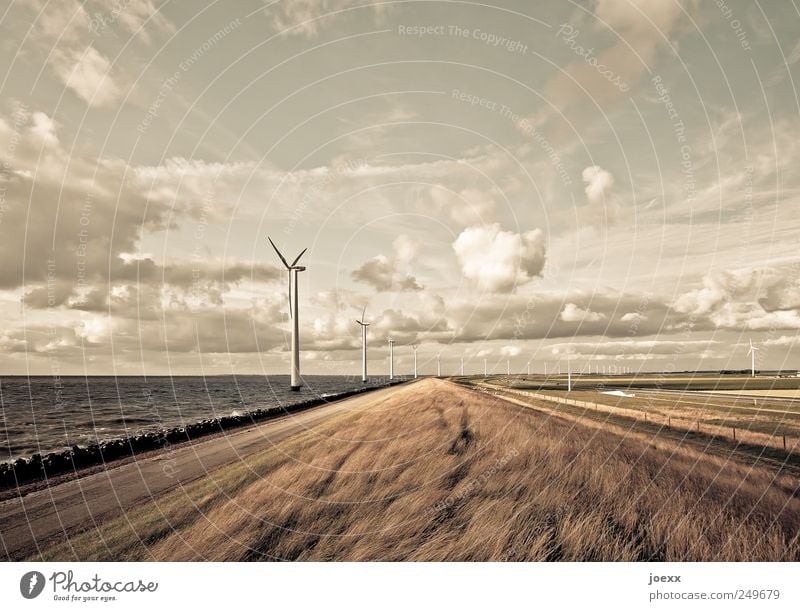 fresh breeze Advancement Future Energy industry Renewable energy Wind energy plant Environment Landscape Sky Clouds Horizon Summer Beautiful weather Coast