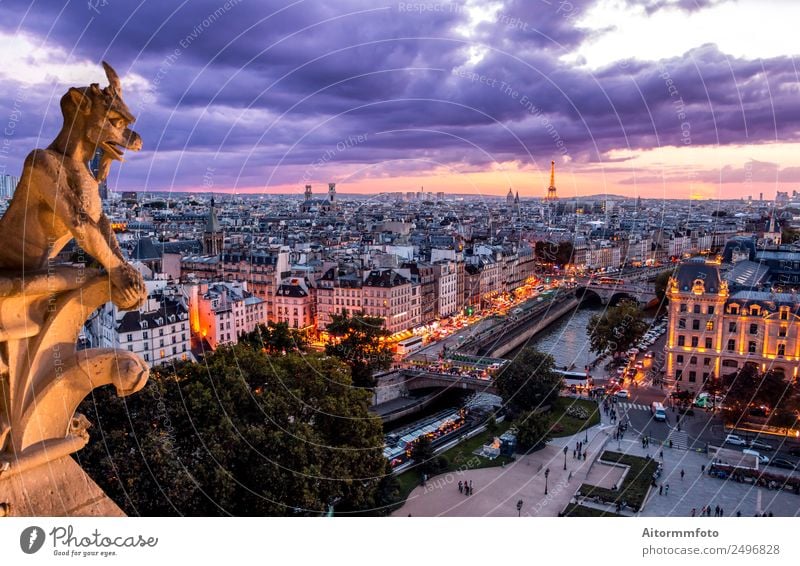 Gargoyle on Notre Dame In Paris at sunset Vacation & Travel Tourism Sightseeing Art Landscape Sky Clouds Skyline Building Architecture Monument Historic Horror