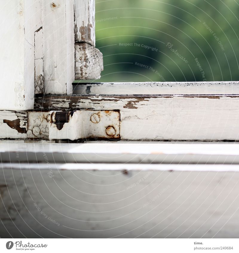 The axe in the house saves the carpenter Window Varnish Wood Old Green White Window frame View from a window used Hinge Screw Tin Window board Rust paint damage