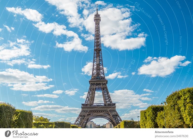 Eiffel Tower in summer on blue sky Vacation & Travel Tourism Sightseeing Summer Garden Culture Nature Landscape Sky Park Building Architecture Monument Metal