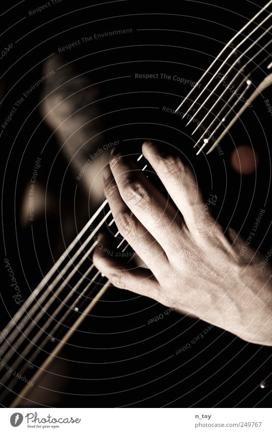 Five strings to luck Masculine Man Adults Hand Fingers 1 Human being Artist Music Concert Band Musician Double bass bassist bass player Rock band Cool (slang)