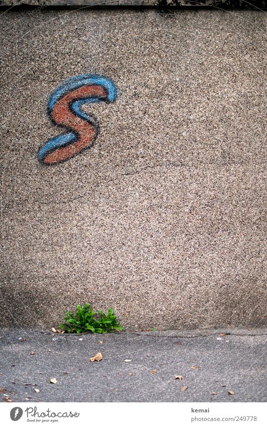 Superman was here Nature Plant Leaf Foliage plant Wild plant Dandelion Weed Deserted Wall (barrier) Wall (building) Facade Stone Sign Characters Graffiti Blue