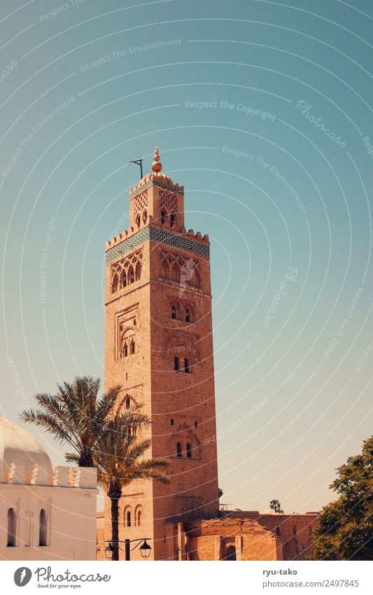 Koutoubia Mosque II Marrakesh Morocco Old town Manmade structures Tourist Attraction Landmark Monument Esthetic Gigantic Palm tree Religion and faith Prayer