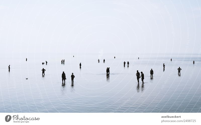 Silhouettes in low tide Lifestyle Leisure and hobbies Vacation & Travel Beach Human being Woman Adults Man Family & Relations Couple Group Crowd of people