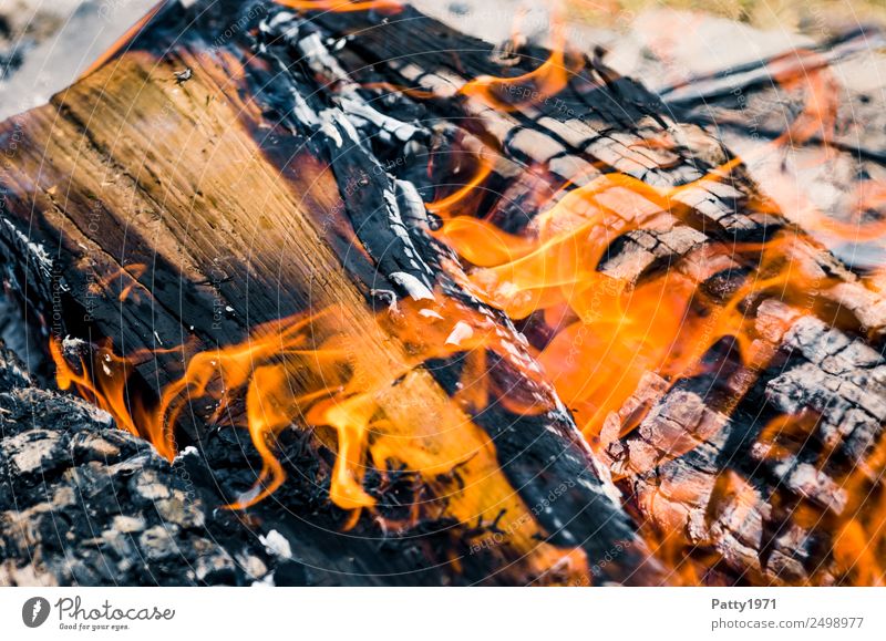 Burning wood Fireplace Adventure Environment Nature Elements Wood Hot Threat Environmental pollution Destruction Colour photo Exterior shot Close-up Detail