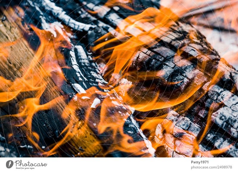 Burning wood Fireplace Adventure Environment Nature Elements Wood Hot Gray Orange Black Threat Environmental pollution Destruction Colour photo Close-up Detail