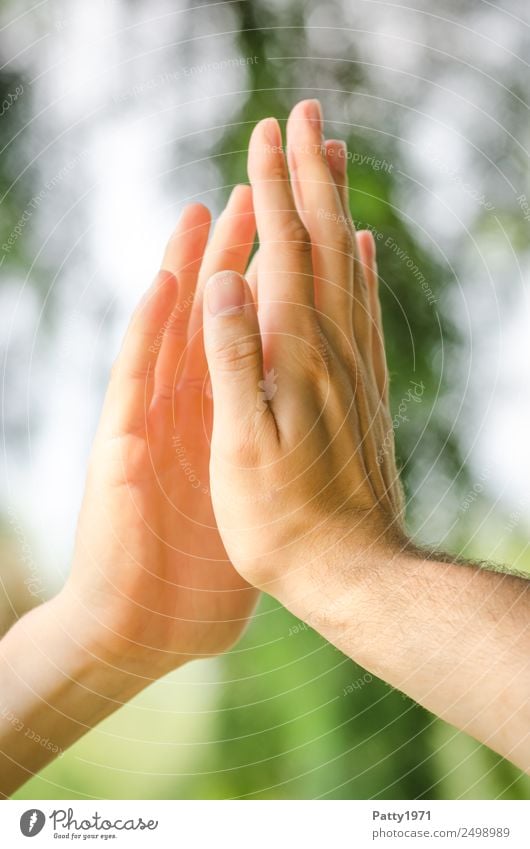 Men's hands in the sunlight bruise the palms of their hands. High five close up. Human being Masculine Homosexual Man Adults Hand 2 18 - 30 years