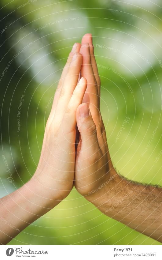 Men's hands in the sunlight bruise the palms of their hands. High five close up. Human being Masculine Homosexual Man Adults Hand 2 18 - 30 years