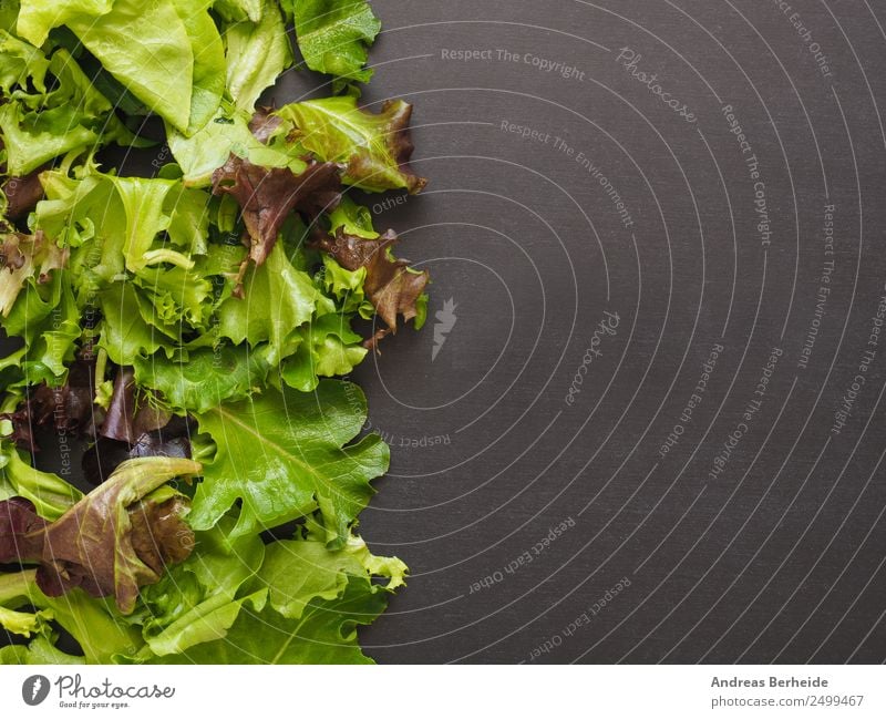 Fresh salad, lettuce leaves, mixed, table with text space Food Lettuce Salad Organic produce Vegetarian diet Diet Lifestyle Restaurant Fitness Sports Training