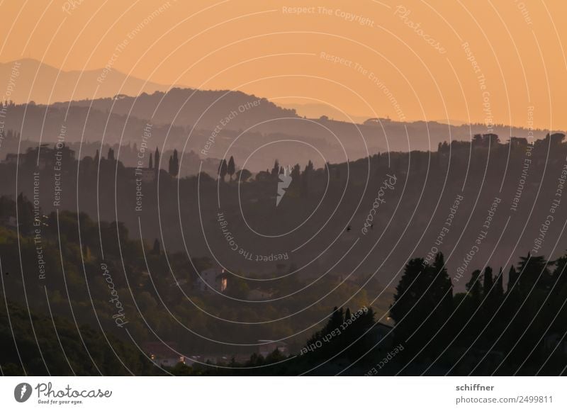 Day to night metamorphosis Landscape Cloudless sky Horizon Sunrise Sunset Sunlight Summer Beautiful weather Warmth Tree Garden Forest Hill Mountain Tuscany