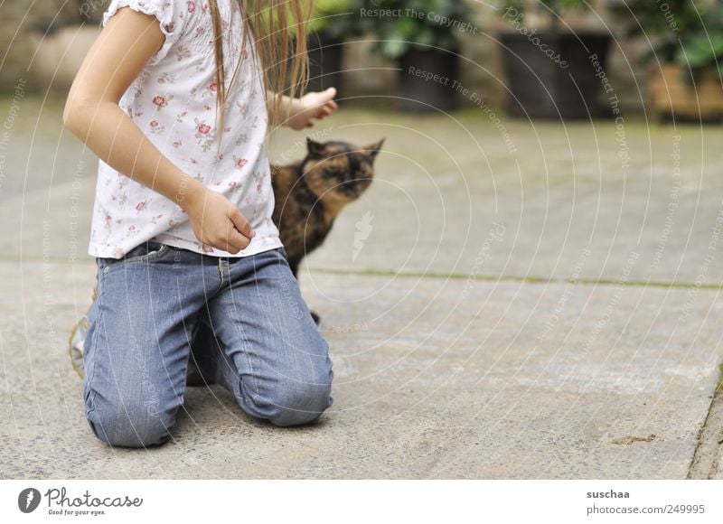 girl photo .. with cat Child Girl Infancy Youth (Young adults) Hair and hairstyles Arm Hand 1 Human being 3 - 8 years Concrete Touch Love of animals Cat Pet