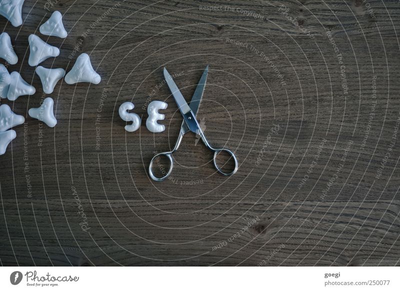 ... on the table Tabletop Scissors filling material Styrofoam Wood Characters Sex Sexuality Office work Colour photo Subdued colour Interior shot Deserted