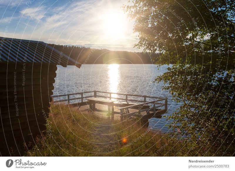 Campsite in Sweden Vacation & Travel Freedom Camping Summer Summer vacation Sun Nature Landscape Water Sunrise Sunset Beautiful weather Meadow Forest Lakeside