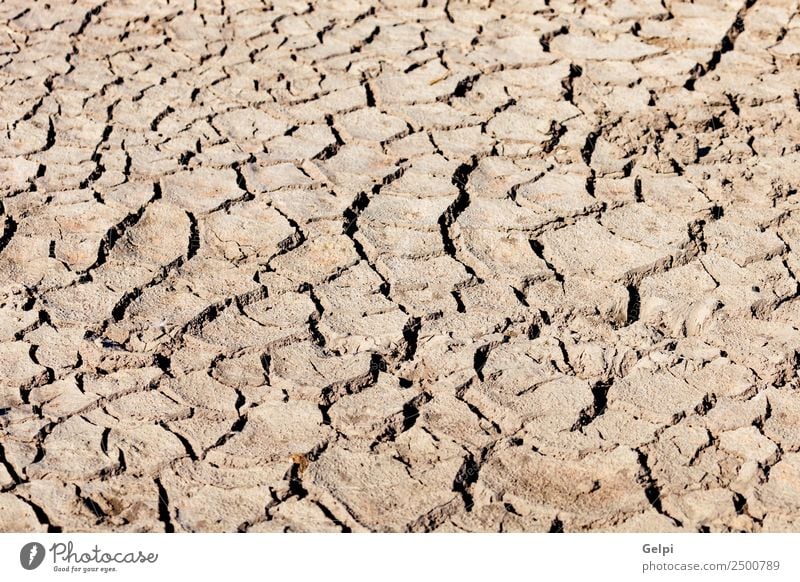 Earth cracked Summer Environment Nature Sand Climate Weather Drought Dirty Hot Natural Brown Death Disaster desert dry Ground land background Clay Consistency