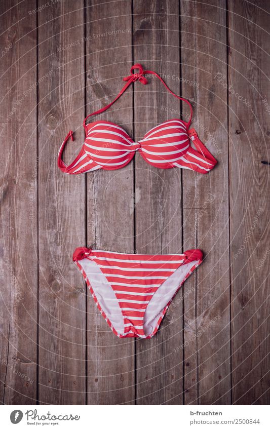 bikini Swimming & Bathing Summer Bikini Wood Leisure and hobbies Joy Vacation & Travel Footbridge Striped Pattern Lie Colour photo Deserted Day Downward