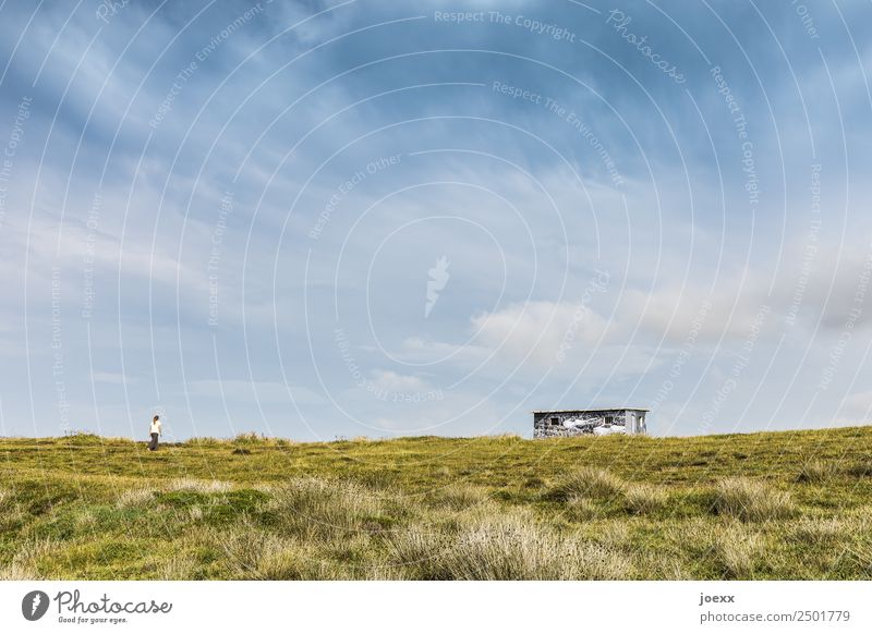 Woman walking on wide green meadow to hut on horizon under blue sky Hut House (Residential Structure) Sky Summer cot Flat roof Green Blue Colour photo Day