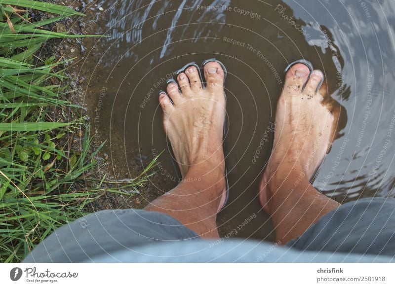 Feet in a dirty puddle Body Hiking Human being Masculine Legs 1 18 - 30 years Youth (Young adults) Adults 30 - 45 years 45 - 60 years Environment Nature Field