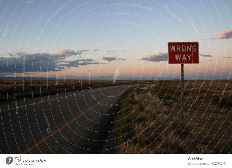 wrong way in gods country Warning sign Road sign Street Highway Environment Landscape Earth Grass Steppe Grassland USA Utah Deserted Tar Concrete Sign