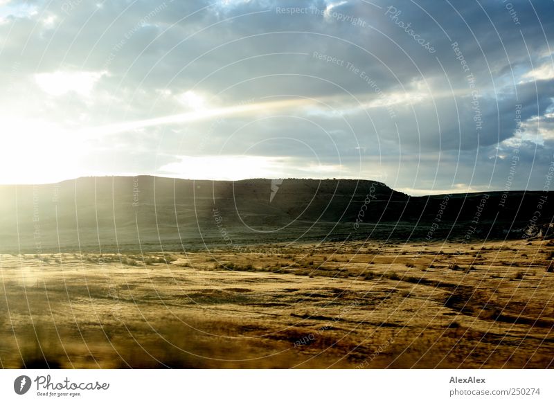 In a flyby Grass Bushes Desert Steppe Mountain Driving Authentic Beautiful Dry Blue Brown Loneliness Far-off places Utah Reflection Sand River Colour photo