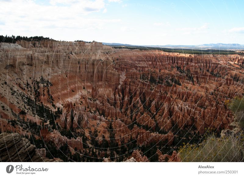 Bryce Canyon Theatre Tourism Trip Adventure Far-off places Environment Nature Landscape Sand Sky Sunlight Beautiful weather Mountain Bryce Amphitheater trees