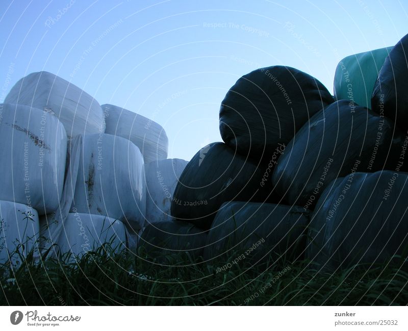 Silage Bales Meadow Turquoise Straw Feed Things Sky silage bales Blue