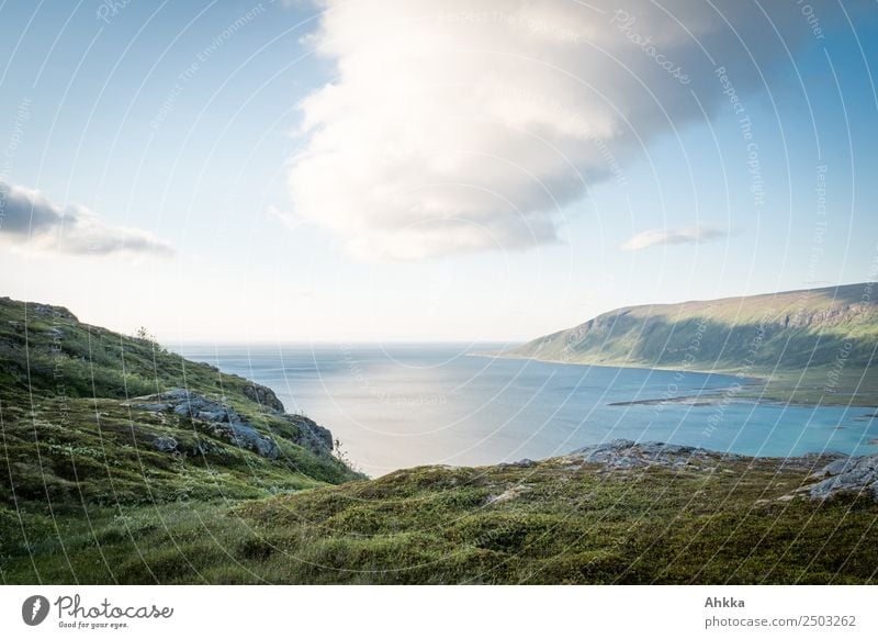 A big cloud hangs over a fjord Fjord Clouds Sky Green Blue mightily tranquillity reflection silent Nature Climate change Ocean Water Weather Grass coast Horizon