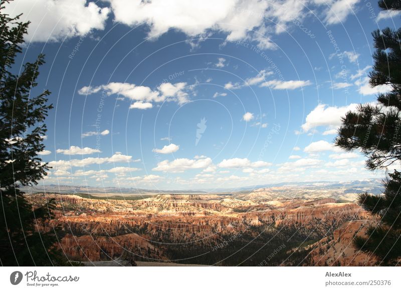 Bryce Canyon for lazy hikers Trip Far-off places Sightseeing Sky Clouds Horizon Beautiful weather Tree Forest Rock Mountain Bryce Canyon National Park