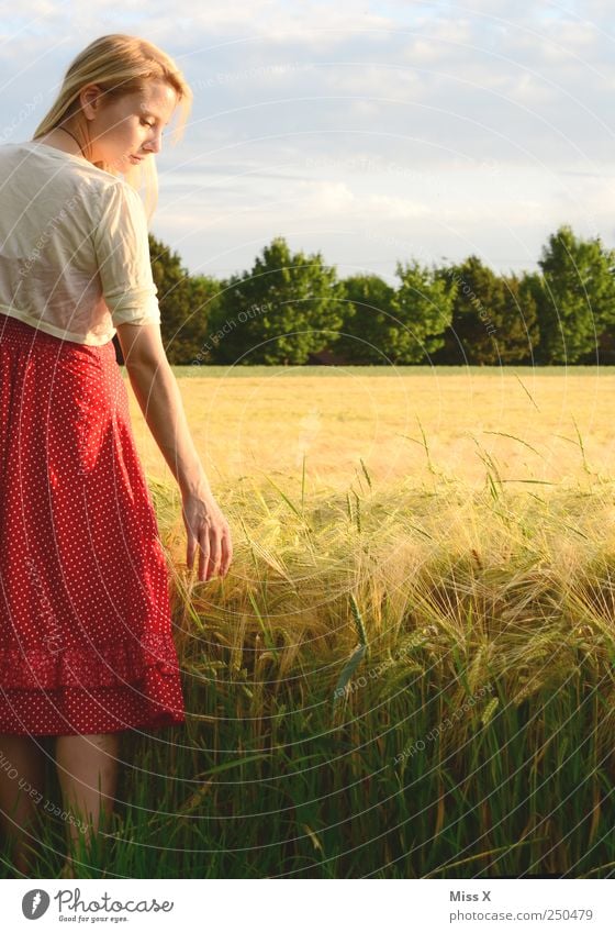 cornfield Contentment Calm Human being Feminine Young woman Youth (Young adults) 1 18 - 30 years Adults Landscape Summer Beautiful weather Agricultural crop