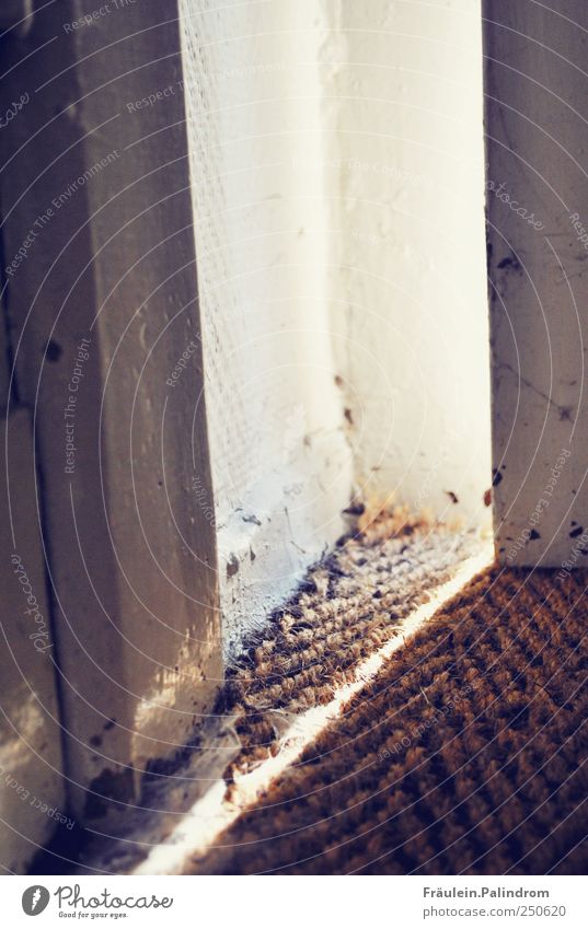 A ray of hope. Sunlight Deserted Door Doormat Dirty Beam of light Spider's web Slightly open door Doorframe Open Undo Closed Way out Hallway Curiosity