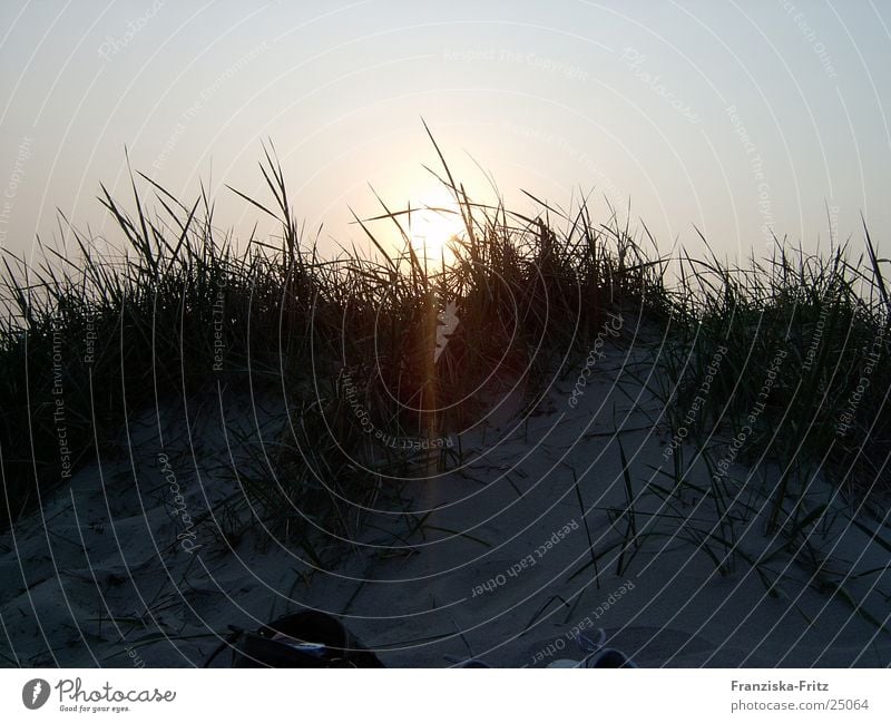 The day at the sea Ocean Beach Twilight Together Light Sun Sand romatics Water Wind Nature