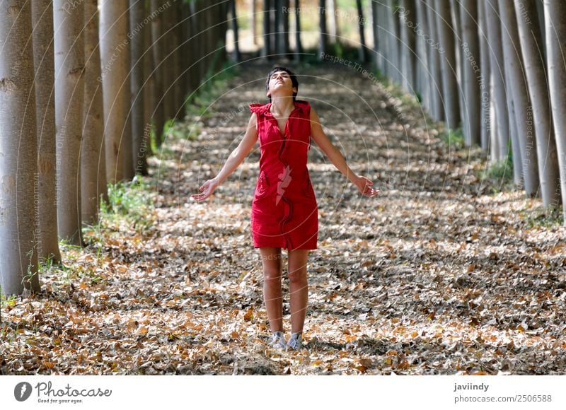 Woman dressed in red, meditating in the forest Beautiful Meditation Leisure and hobbies Feminine Young woman Youth (Young adults) Adults 1 Human being