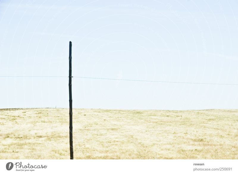 _|___ Nature Landscape Summer Beautiful weather Meadow Field Hot Bright Cable Electricity pylon Wooden stake Line Grass Grassland Alentejo Colour photo