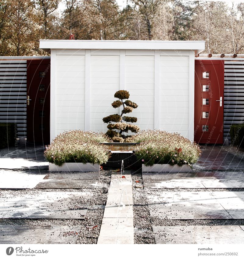 garden pavilion Garden Gardening Nature Landscape Animal Sky Plant Tree Bushes Foliage plant Park Hut Architecture Wall (barrier) Wall (building) Door