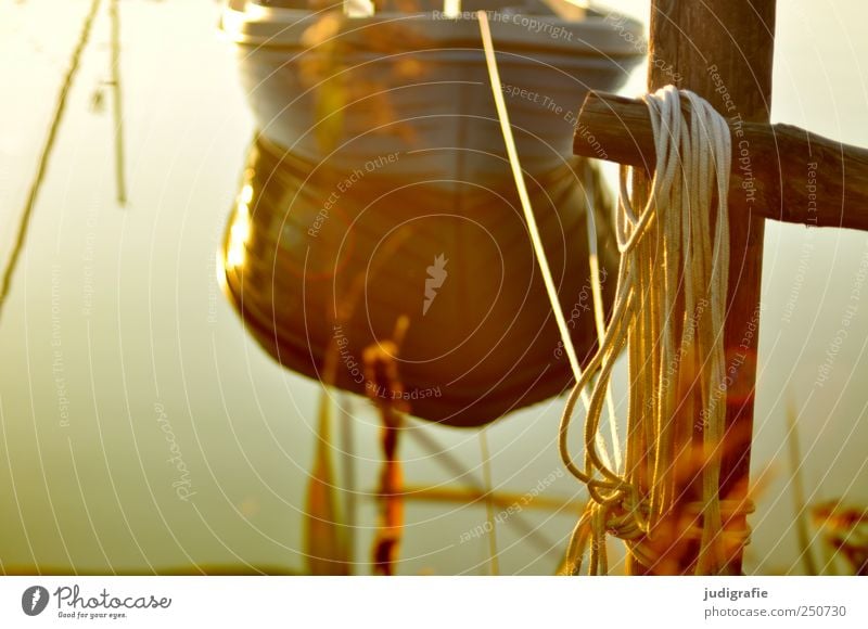 harbor Environment Nature Landscape Water Beautiful weather Coast Lakeside Baltic Sea Harbour Boating trip Fishing boat Watercraft Wait Natural Moody Idyll Calm