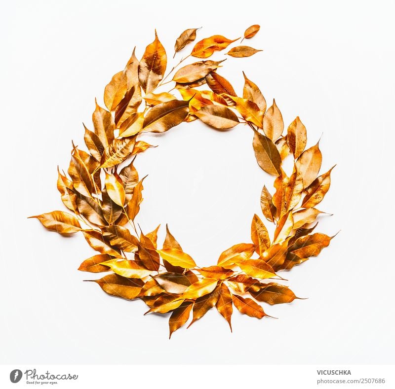 autumn leaves wreath on white Style Design Nature Plant Autumn Leaf Decoration Ornament Yellow Gold Background picture Conceptual design Wreath