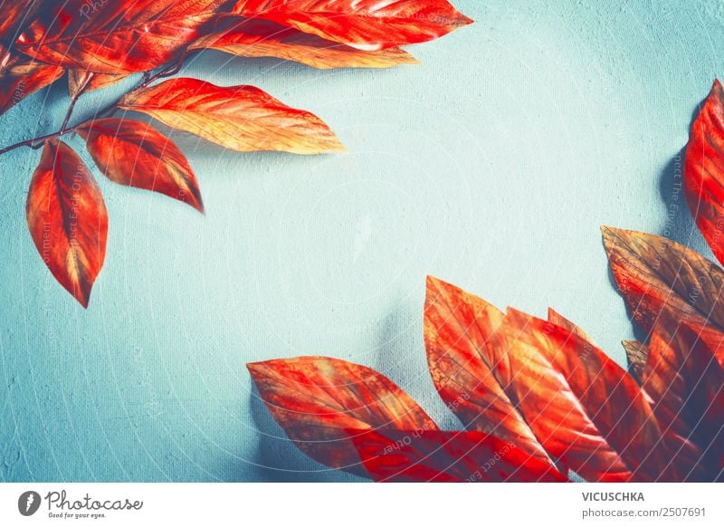 Orange autumn foliage frame with leaves on light blue Style Design Nature Autumn Plant Leaf Decoration Ornament Blue Red Background picture Light blue Frame