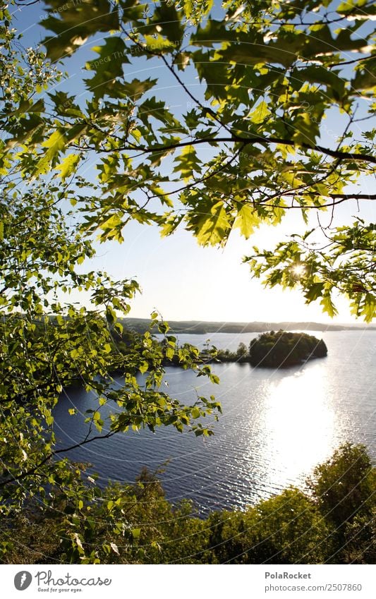 #A# Green Idyll Environment Nature Landscape Plant Beautiful weather Forest Esthetic Edge of the forest Forest lake Lake Remote Hiking Calm Colour photo