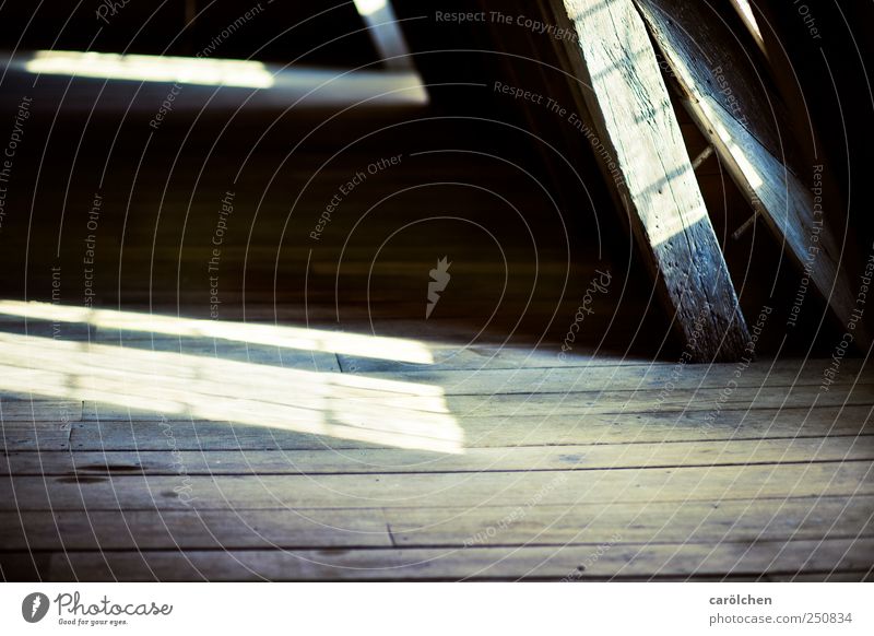 down-to-earth. Deserted Black Attic Shaft of light Shadow Wooden floor Roof beams Joist Window Contrast Colour photo Subdued colour Interior shot Detail